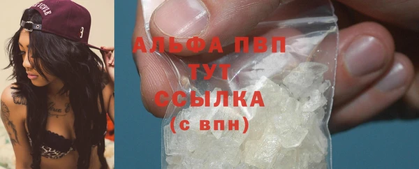 тгк Володарск