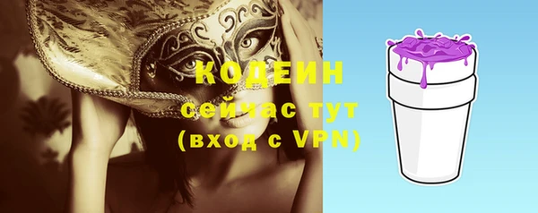 скорость Вяземский