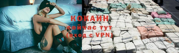 тгк Володарск