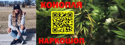 гидропоника Краснознаменск