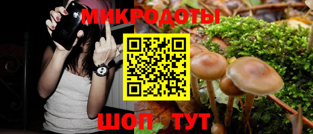 Галлюциногенные грибы Psilocybine cubensis  Вход с VPN  Керчь 